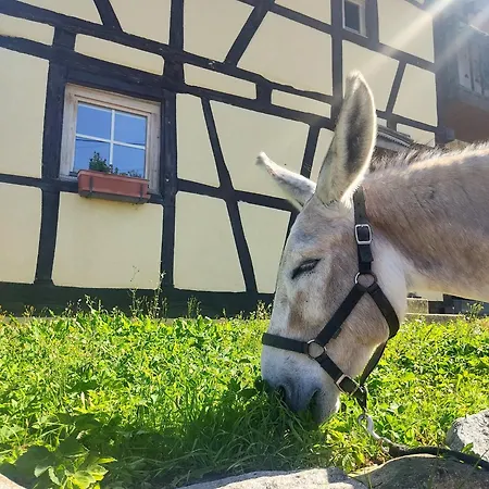 Nyaraló La Grange De La Petite Souris